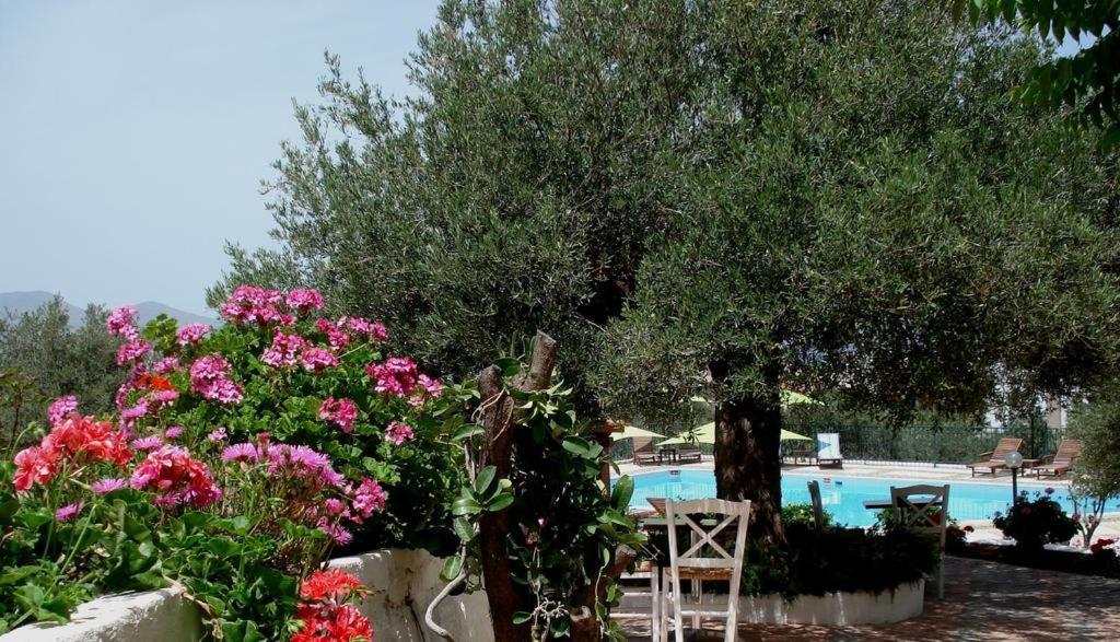 Katerina Charming Place Amoudara  Exterior foto